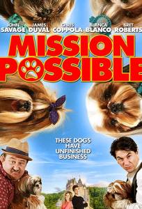 Mission Possible (фильм 2018)