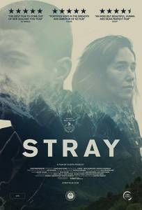 Заблудшие (фильм 2018)